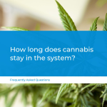 does cannabis stay in the system